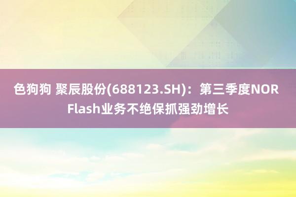 色狗狗 聚辰股份(688123.SH)：第三季度NOR Flash业务不绝保抓强劲增长