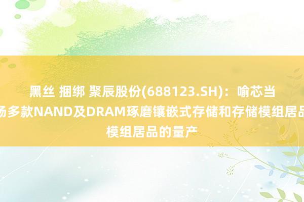 黑丝 捆绑 聚辰股份(688123.SH)：喻芯当今已收场多款NAND及DRAM琢磨镶嵌式存储和存储模组居品的量产