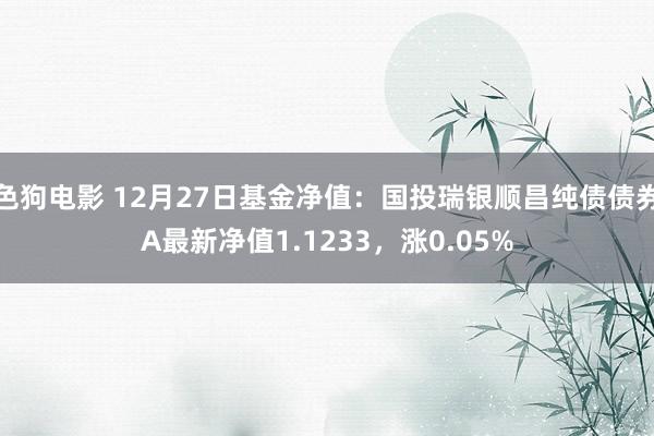 色狗电影 12月27日基金净值：国投瑞银顺昌纯债债券A最新净值1.1233，涨0.05%