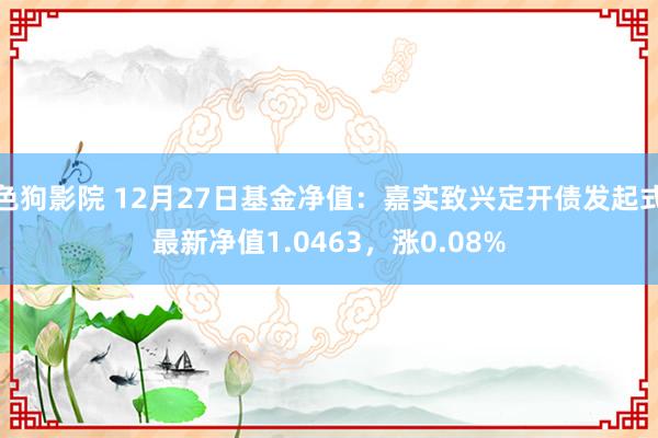 色狗影院 12月27日基金净值：嘉实致兴定开债发起式最新净值1.0463，涨0.08%