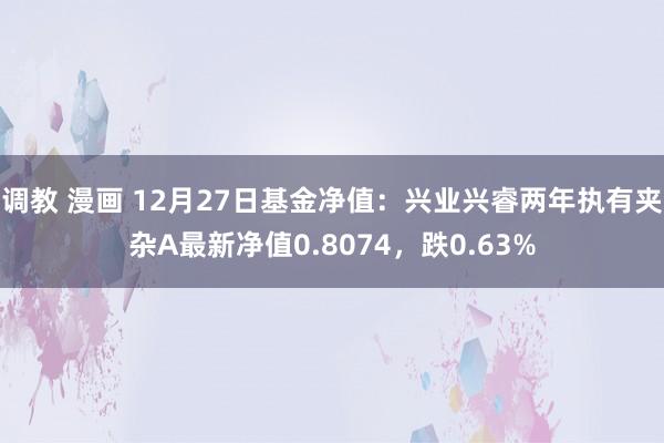 调教 漫画 12月27日基金净值：兴业兴睿两年执有夹杂A最新净值0.8074，跌0.63%