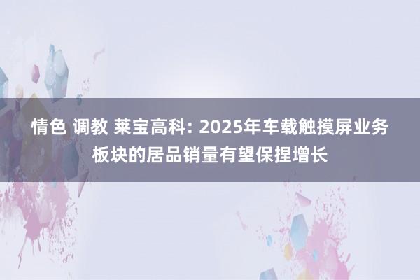 情色 调教 莱宝高科: 2025年车载触摸屏业务板块的居品销量有望保捏增长