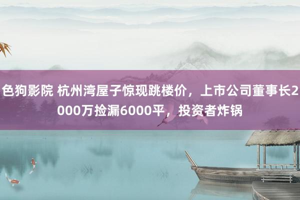 色狗影院 杭州湾屋子惊现跳楼价，上市公司董事长2000万捡漏6000平，投资者炸锅