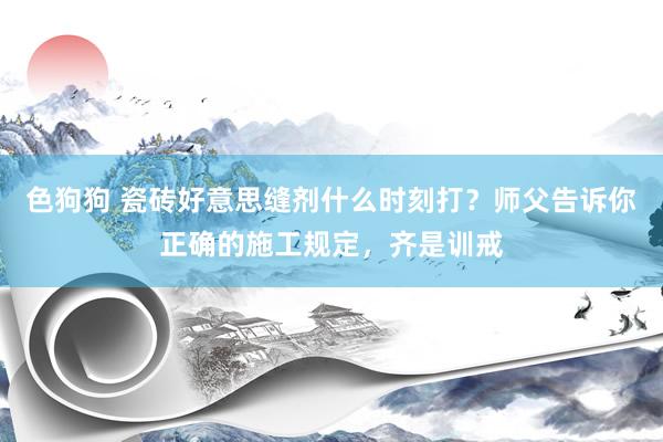 色狗狗 瓷砖好意思缝剂什么时刻打？师父告诉你正确的施工规定，齐是训戒