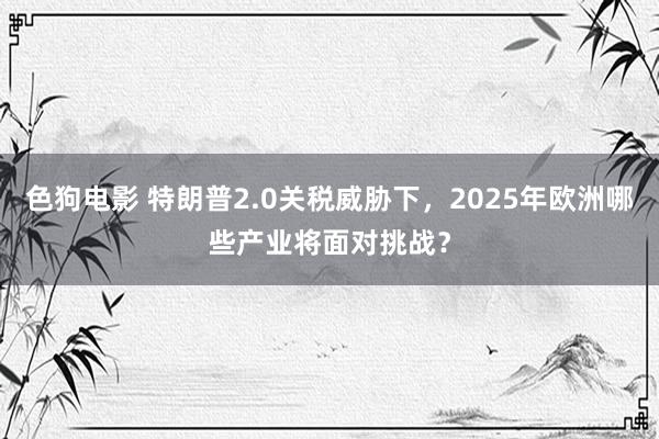 色狗电影 特朗普2.0关税威胁下，2025年欧洲哪些产业将面对挑战？