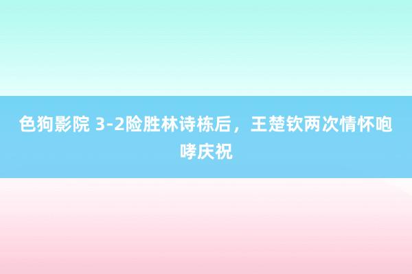 色狗影院 3-2险胜林诗栋后，王楚钦两次情怀咆哮庆祝