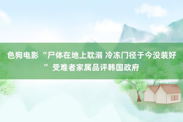 色狗电影 “尸体在地上耽溺 冷冻门径于今没装好” 受难者家属品评韩国政府