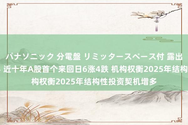 パナソニック 分電盤 リミッタースペース付 露出・半埋込両用形 近十年A股首个来回日6涨4跌 机构权衡2025年结构性投资契机增多