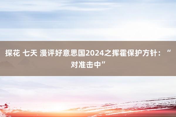 探花 七天 漫评好意思国2024之挥霍保护方针：“对准击中”