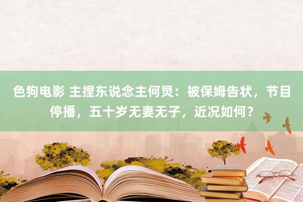 色狗电影 主捏东说念主何炅：被保姆告状，节目停播，五十岁无妻无子，近况如何？