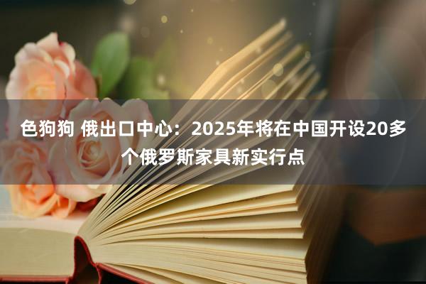 色狗狗 俄出口中心：2025年将在中国开设20多个俄罗斯家具新实行点