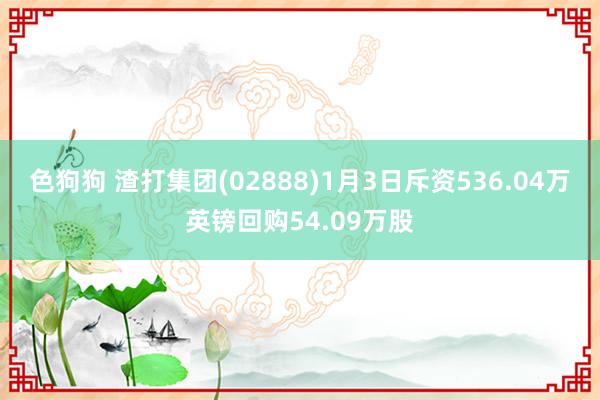 色狗狗 渣打集团(02888)1月3日斥资536.04万英镑回购54.09万股