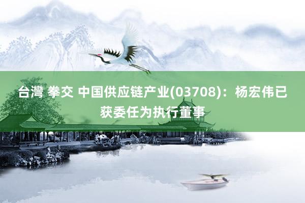 台灣 拳交 中国供应链产业(03708)：杨宏伟已获委任为执行董事