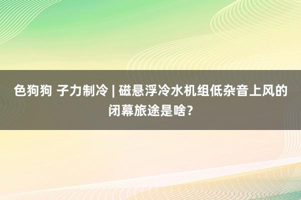 色狗狗 子力制冷 | 磁悬浮冷水机组低杂音上风的闭幕旅途是啥？