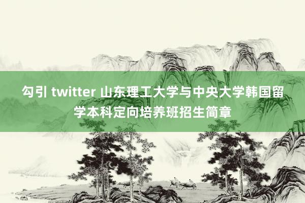 勾引 twitter 山东理工大学与中央大学韩国留学本科定向培养班招生简章