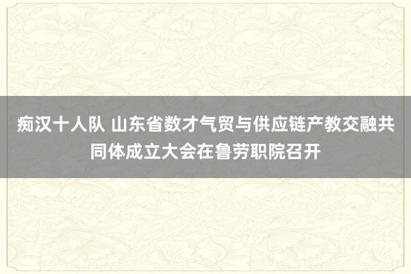 痴汉十人队 山东省数才气贸与供应链产教交融共同体成立大会在鲁劳职院召开