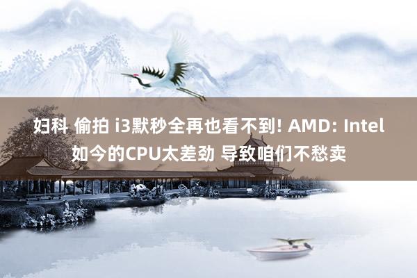 妇科 偷拍 i3默秒全再也看不到! AMD: Intel如今的CPU太差劲 导致咱们不愁卖