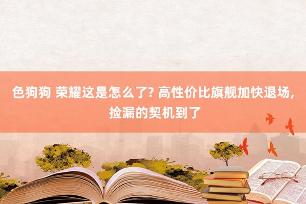 色狗狗 荣耀这是怎么了? 高性价比旗舰加快退场， 捡漏的契机到了