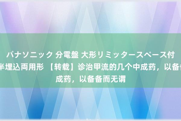 パナソニック 分電盤 大形リミッタースペース付 露出・半埋込両用形 【转载】诊治甲流的几个中成药，以备备而无谓