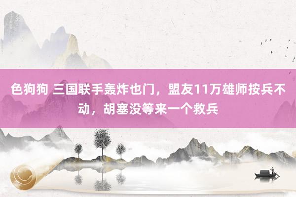 色狗狗 三国联手轰炸也门，盟友11万雄师按兵不动，胡塞没等来一个救兵