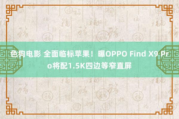 色狗电影 全面临标苹果！曝OPPO Find X9 Pro将配1.5K四边等窄直屏