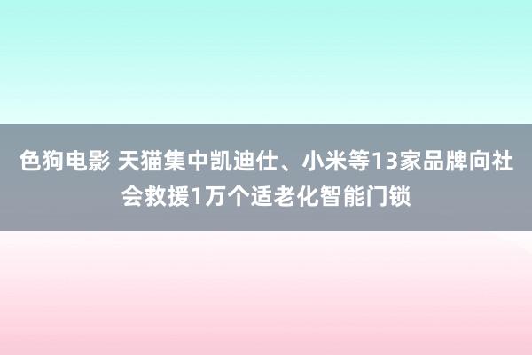 色狗电影 天猫集中凯迪仕、小米等13家品牌向社会救援1万个适老化智能门锁