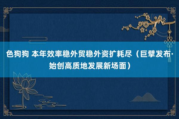 色狗狗 本年效率稳外贸稳外资扩耗尽（巨擘发布·始创高质地发展新场面）