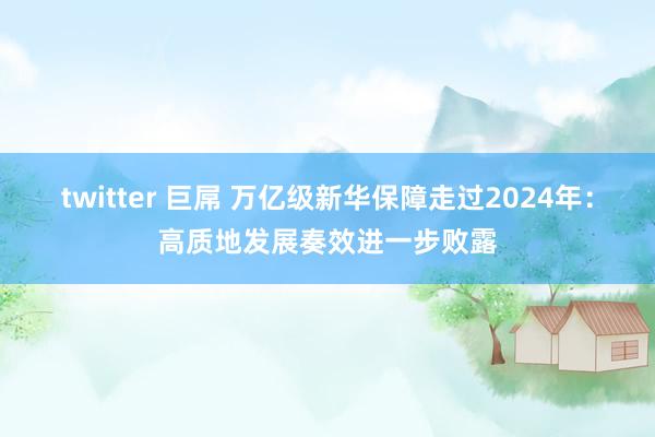 twitter 巨屌 万亿级新华保障走过2024年：高质地发展奏效进一步败露