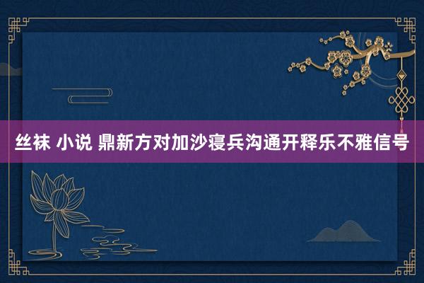 丝袜 小说 鼎新方对加沙寝兵沟通开释乐不雅信号