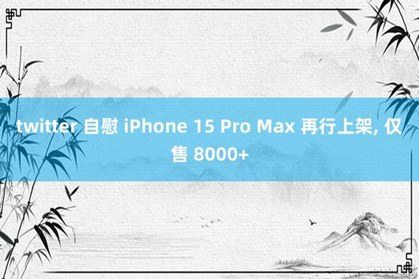 twitter 自慰 iPhone 15 Pro Max 再行上架， 仅售 8000+